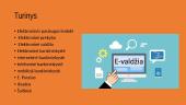 Išsamiai apie elektronines paslaugas 2 puslapis