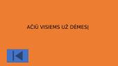 Išsamiai apie elektronines paslaugas 11 puslapis
