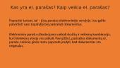 Išsamiai apie elektronines paslaugas 8 puslapis