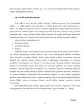 Savivaldybių finansų struktūra 11 puslapis