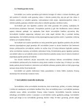 Savivaldybių finansų struktūra 19 puslapis