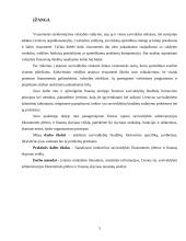 Savivaldybių finansų struktūra 3 puslapis