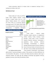 SEB investicinių fondų nagrinėjimas 15 puslapis