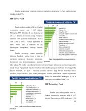 SEB investicinių fondų nagrinėjimas 16 puslapis