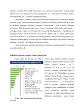 SEB investicinių fondų nagrinėjimas 17 puslapis