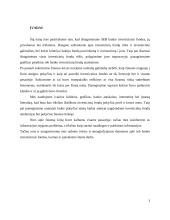 SEB investicinių fondų nagrinėjimas 3 puslapis