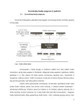 SEB investicinių fondų nagrinėjimas 4 puslapis