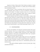 SEB investicinių fondų nagrinėjimas 7 puslapis