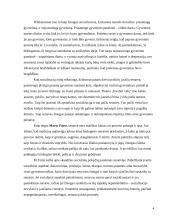 Senyvo amžiaus žmonių socializacijos problemos 4 puslapis