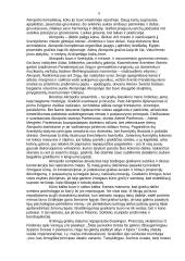 Senovės Graikijos meno epochos 7 puslapis