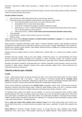 Apie Viduramžius 11 puslapis