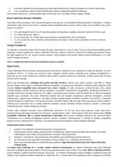 Apie Viduramžius 13 puslapis