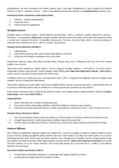 Apie Viduramžius 14 puslapis