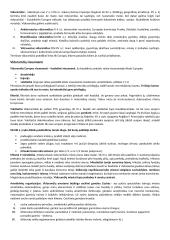 Apie Viduramžius 7 puslapis