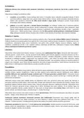 Apie Viduramžius 9 puslapis