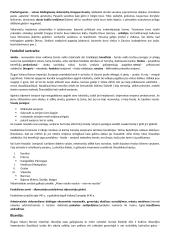 Apie Viduramžius 10 puslapis