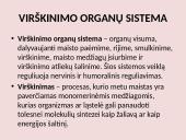 Virškinimo sistema pristatymas 2 puslapis