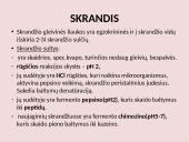 Virškinimo sistema pristatymas 13 puslapis