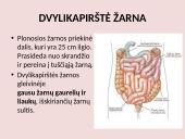 Virškinimo sistema pristatymas 15 puslapis