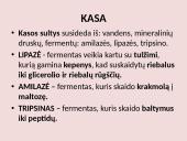 Virškinimo sistema pristatymas 18 puslapis