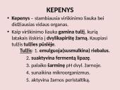 Virškinimo sistema pristatymas 19 puslapis