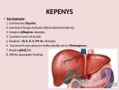 Virškinimo sistema pristatymas 20 puslapis