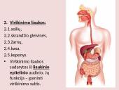 Virškinimo sistema pristatymas 5 puslapis