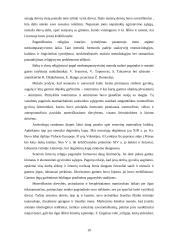 Senovės lietuvių mitologija ir religija 10 puslapis