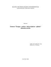 Sistemos "Žmogus – mašina – darbo objektas – aplinka" elementų sąveika