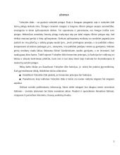 Valstybės iždo funkcinis ir teisinis įvertinimas 2 puslapis