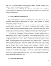 Valstybės iždo funkcinis ir teisinis įvertinimas 11 puslapis