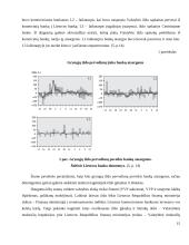 Valstybės iždo funkcinis ir teisinis įvertinimas 15 puslapis