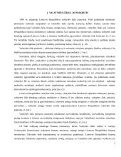 Valstybės iždo funkcinis ir teisinis įvertinimas 3 puslapis