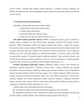 Valstybės iždo funkcinis ir teisinis įvertinimas 4 puslapis