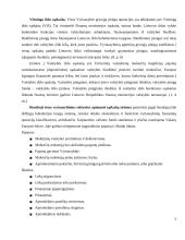 Valstybės iždo funkcinis ir teisinis įvertinimas 5 puslapis