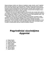 Siuvinėjimo istorija, įrankiai, dygsniai bei pavyzdžiai 7 puslapis