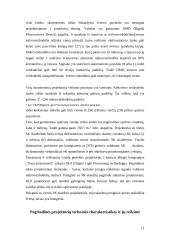 Skaitmeniniai projektoriai 12 puslapis