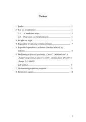 Skaitmeniniai projektoriai 3 puslapis