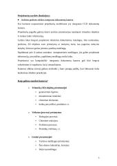 Skaitmeniniai projektoriai 6 puslapis