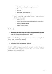 Skaitmeniniai projektoriai 7 puslapis