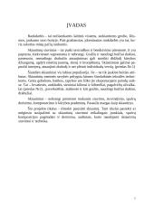 Skiautiniai 2 puslapis