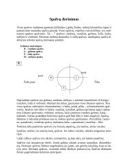 Skiautiniai 7 puslapis