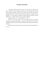 Skrandis ir virškinimas