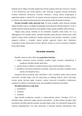 Skrandis ir virškinimas 4 puslapis