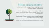 Miškai – pasaulio turtas 3 puslapis