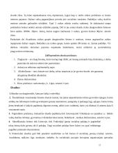 Skurdas Lietuvoje ir Vokietijoje 13 puslapis