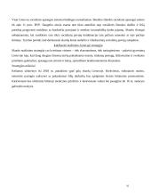 Skurdas Lietuvoje ir Vokietijoje 8 puslapis