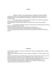Smulkaus ir vidutinio verslo kriterijų Lietuvoje ir Europos sąjungoje palyginimas 5 puslapis