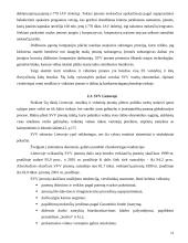 Smulkus verslas 11 puslapis