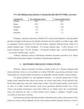 Smulkus verslas 13 puslapis